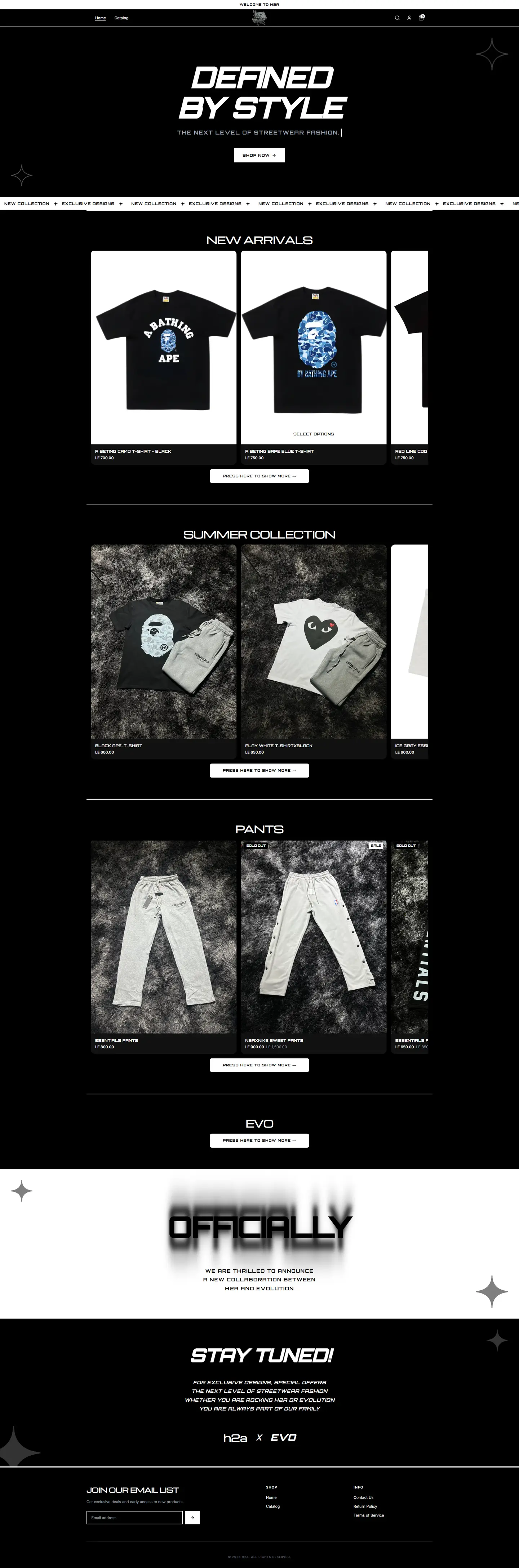 H2A website, full page